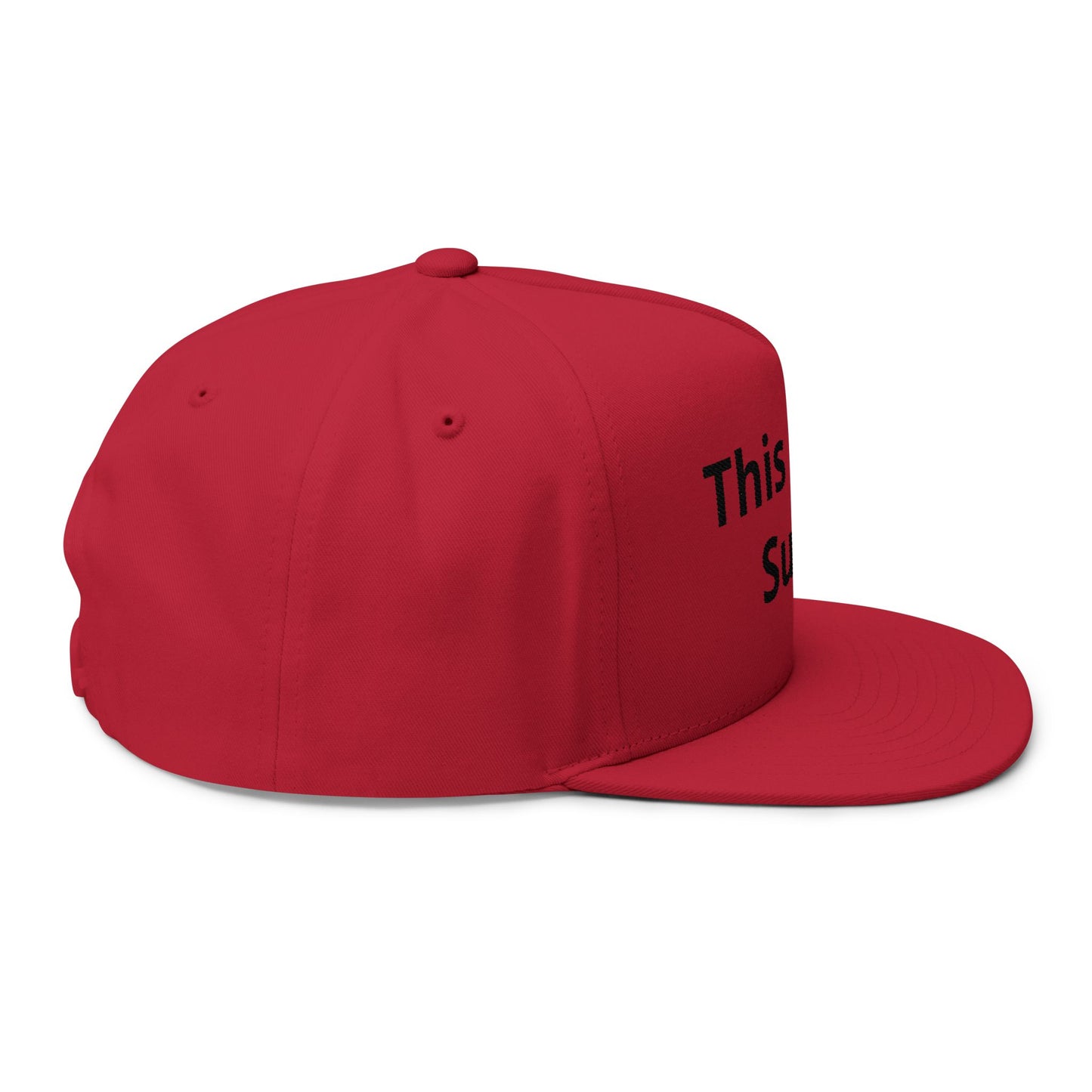 This Place Sucks- Custom Embroidered Hat