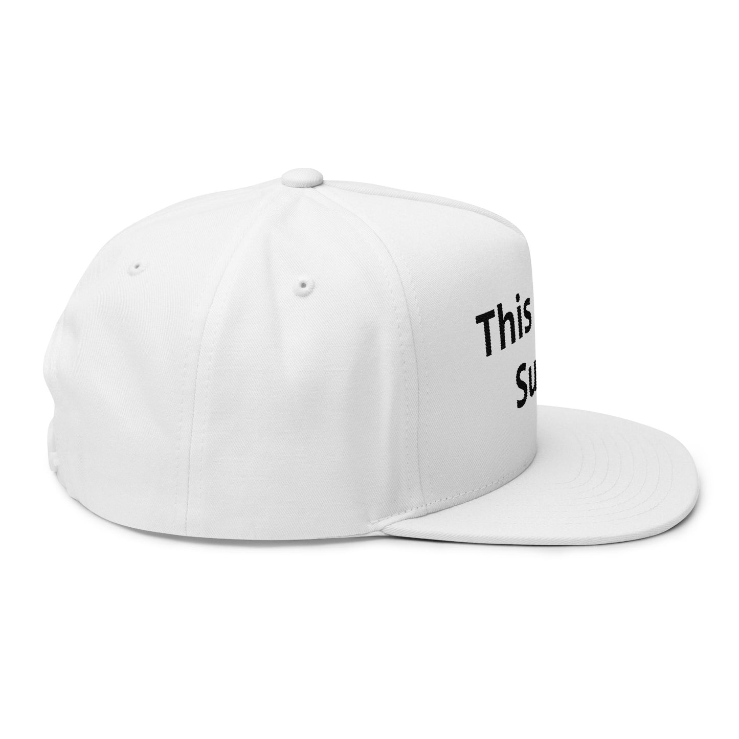 This Place Sucks- Custom Embroidered Hat