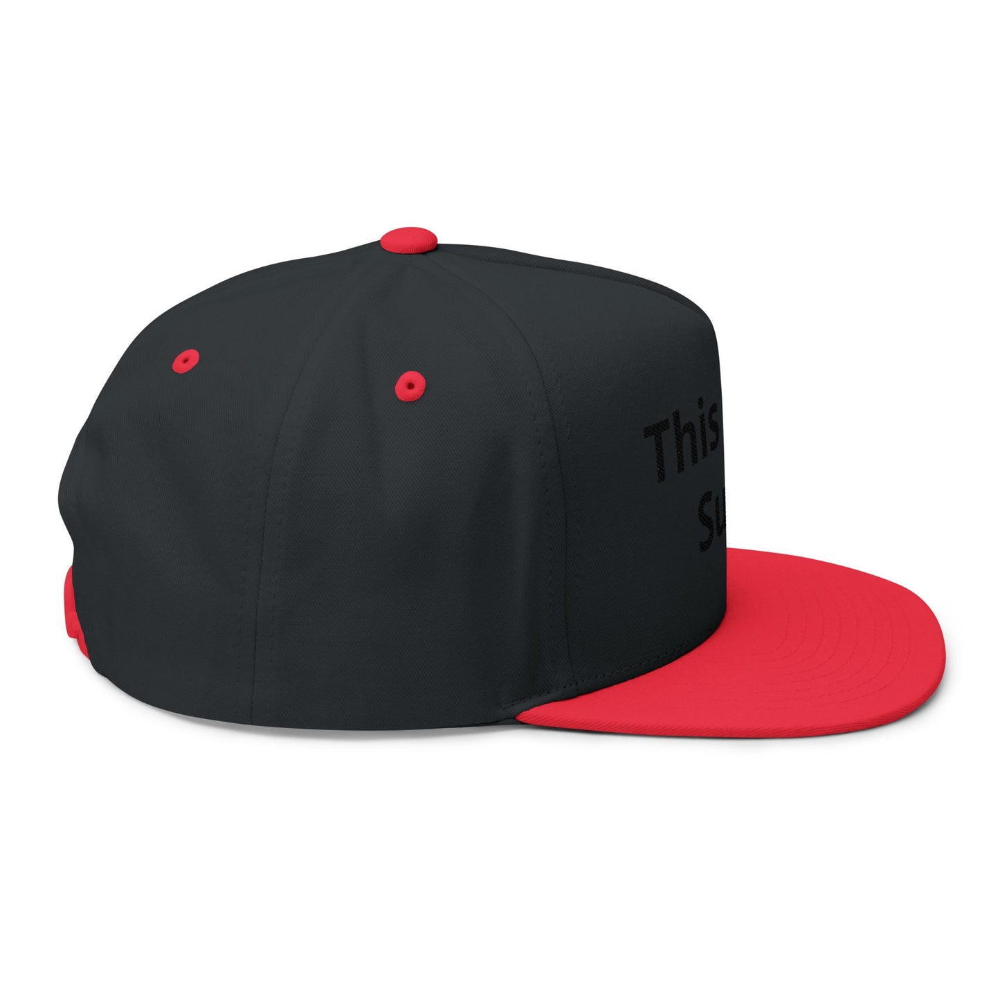 This Place Sucks- Custom Embroidered Hat